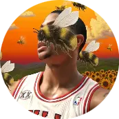 HornetsOnTop