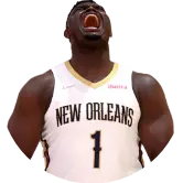 TheBiggestPelicansFan