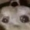 awsomebeanos