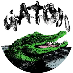 Gator2kMyteam