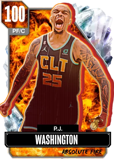 PJ Washington