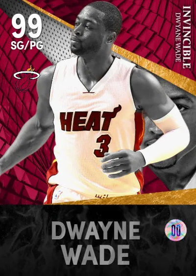 dwayne wade invincible