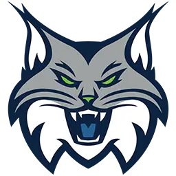 Minnesota Lynx
