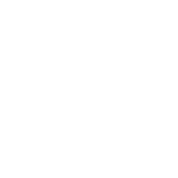Utah Jazz