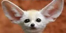 Tips? I'm all ears