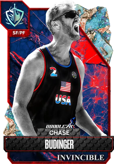 USA Olympian Chase Budinger