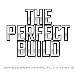 The Perfect Build: Sharpshooting