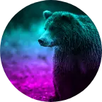 KingBear