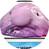 messyisthegoat