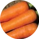 pacmanwaka