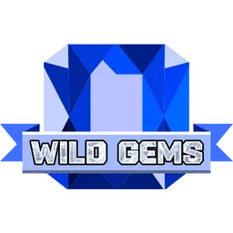 Sapphire Wild Gems