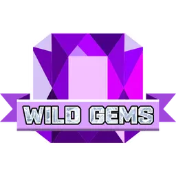 Amethyst Wild Gems