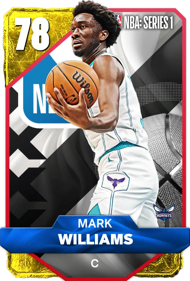 78 Mark Williams | Charlotte Hornets