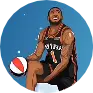 GoKnicks