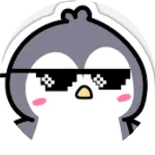 Coolshades