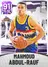 (AMETHYST) Mahmoud Abdul-Rauf (91 OVR)
