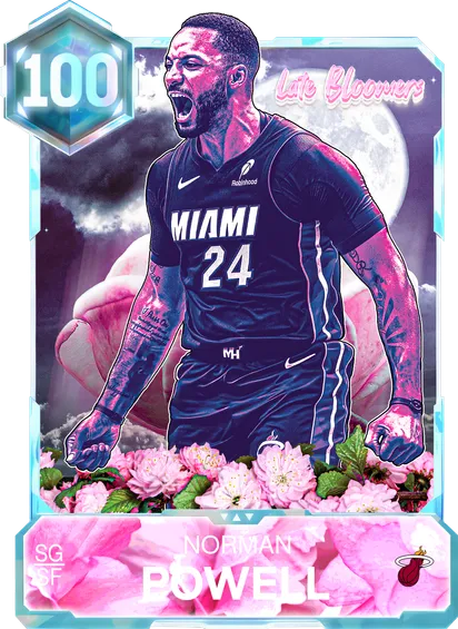 Stormin' Norman