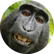 obama123