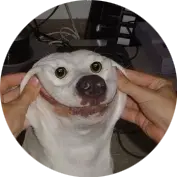 ya.