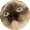 191121