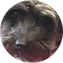 2k_TheGamer
